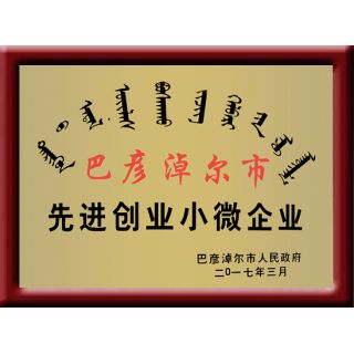 先進(jìn)創(chuàng)業(yè)小微企業(yè)